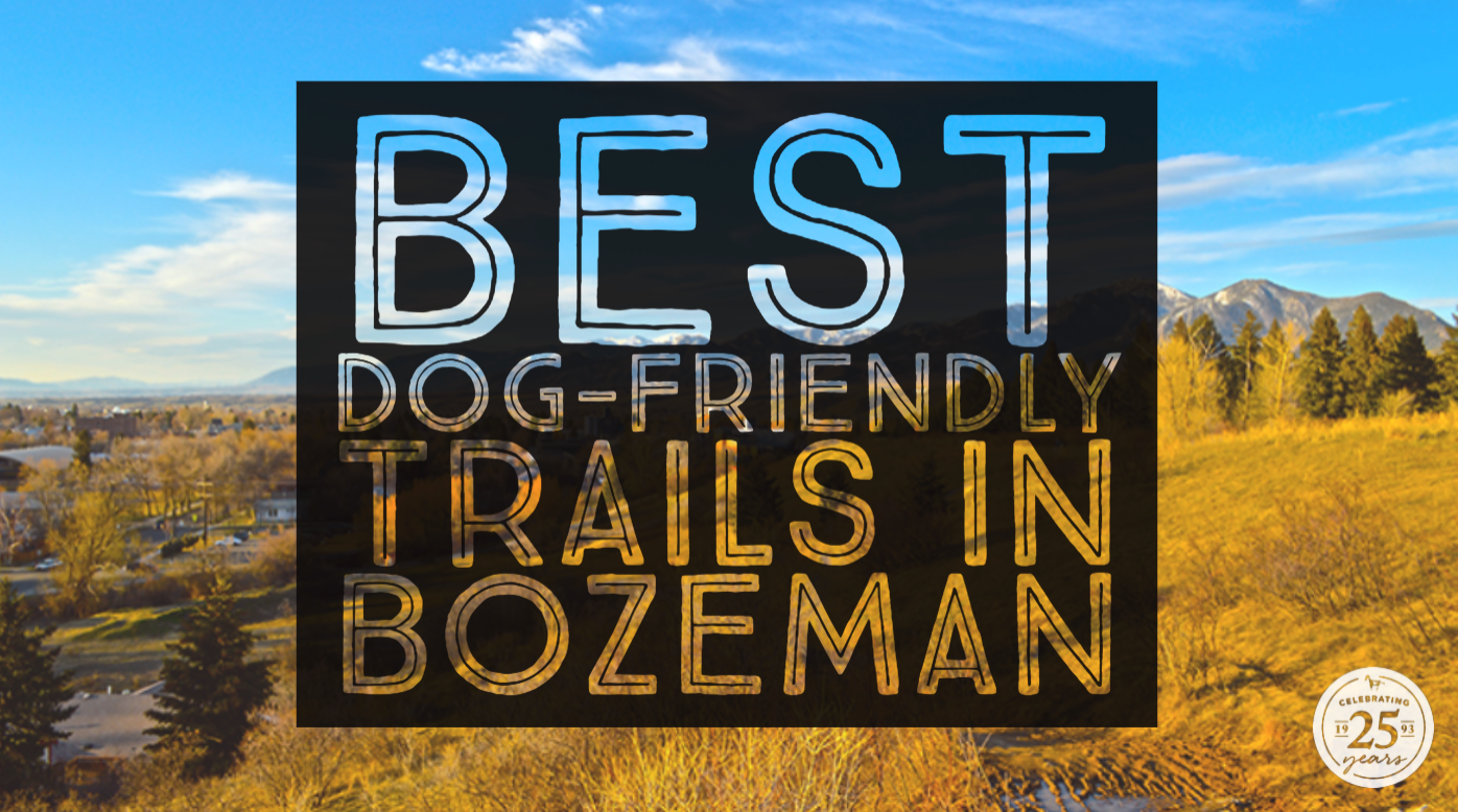 Best Dog Friendly Trails in Bozeman Montana Gift Corral