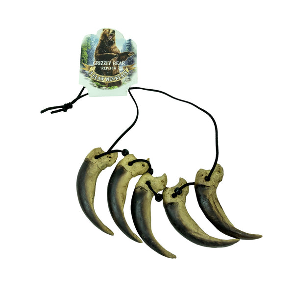 Grizzly bear tooth on sale necklace