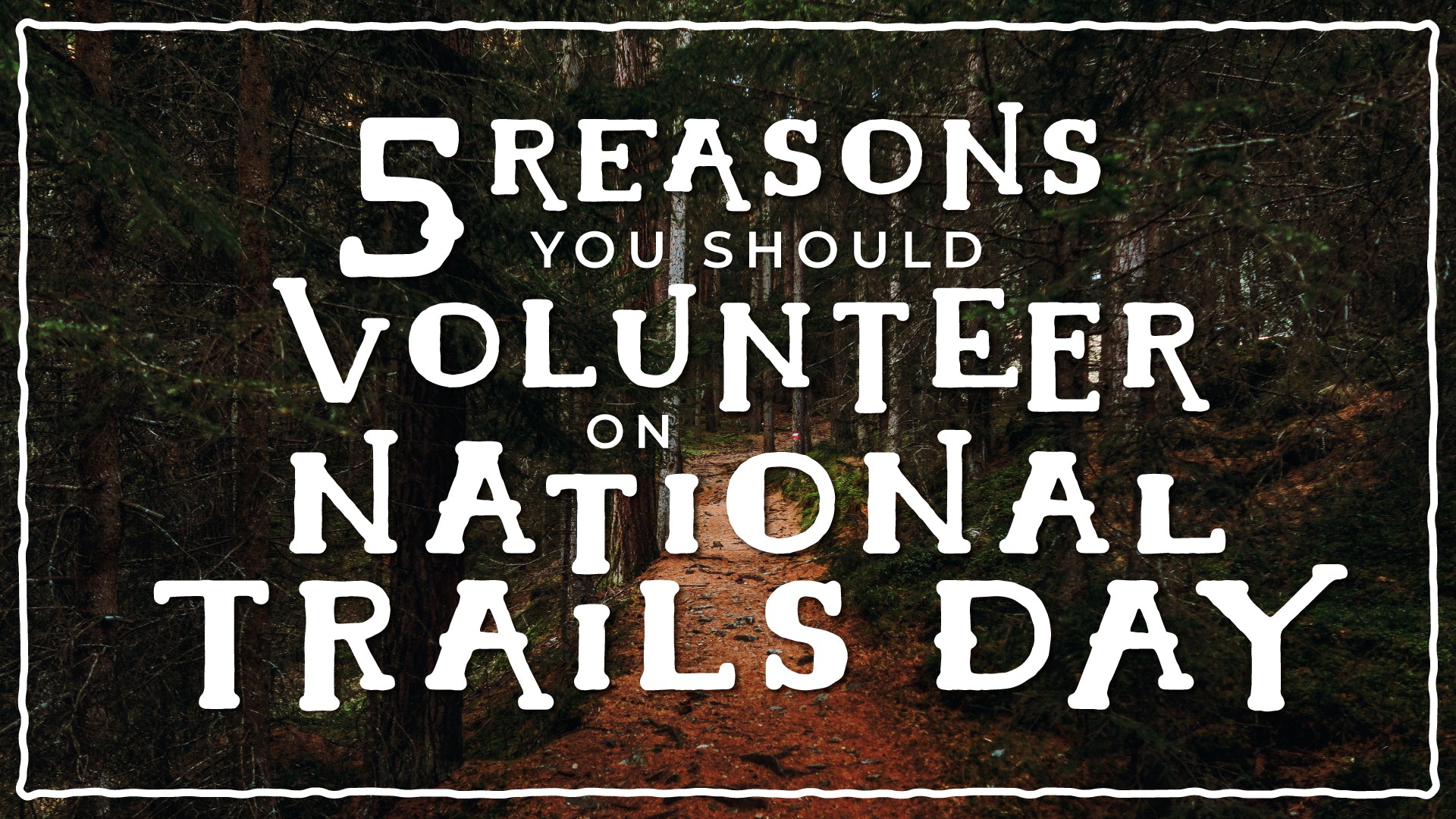 5 Reasons Why You Should Volunteer on National Trails Day