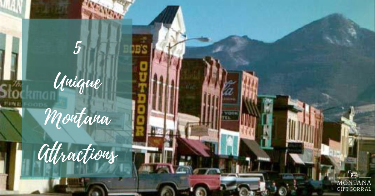 5 Unique Montana Attractions