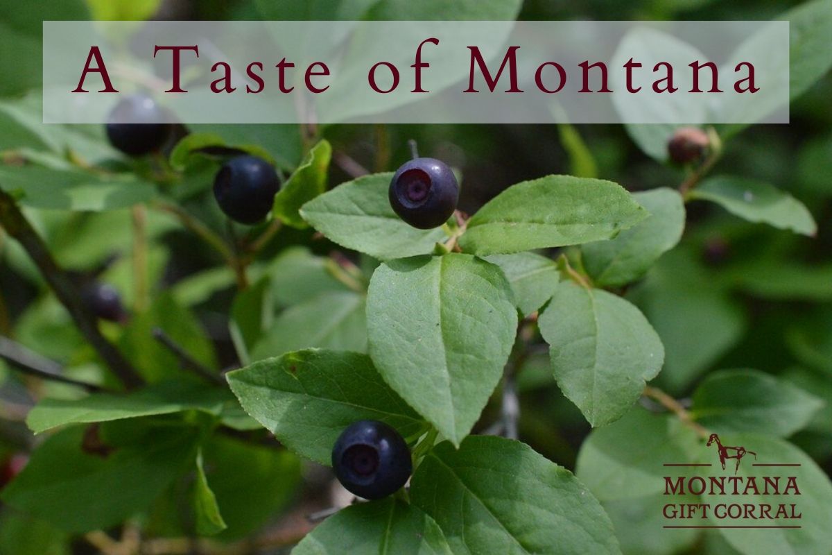 A Taste of Montana