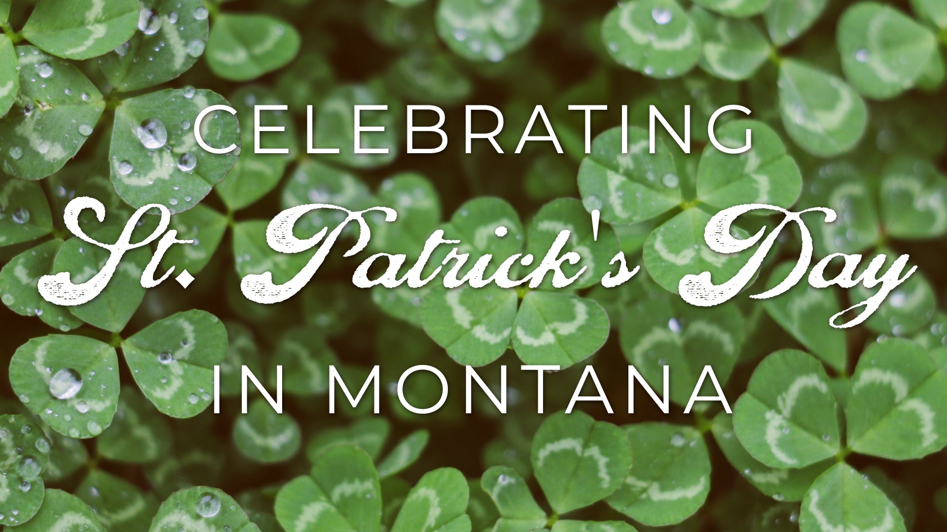 Celebrating St. Patrick's Day in Montana!