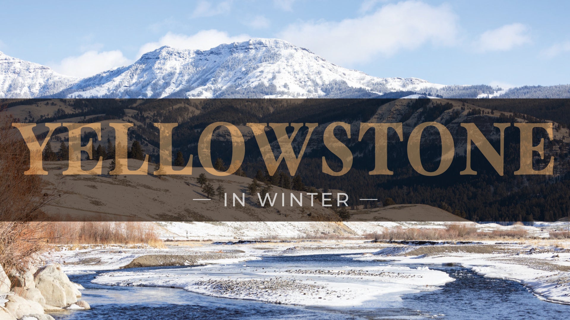 Discovering the Magic of Winter in Yellowstone National Park