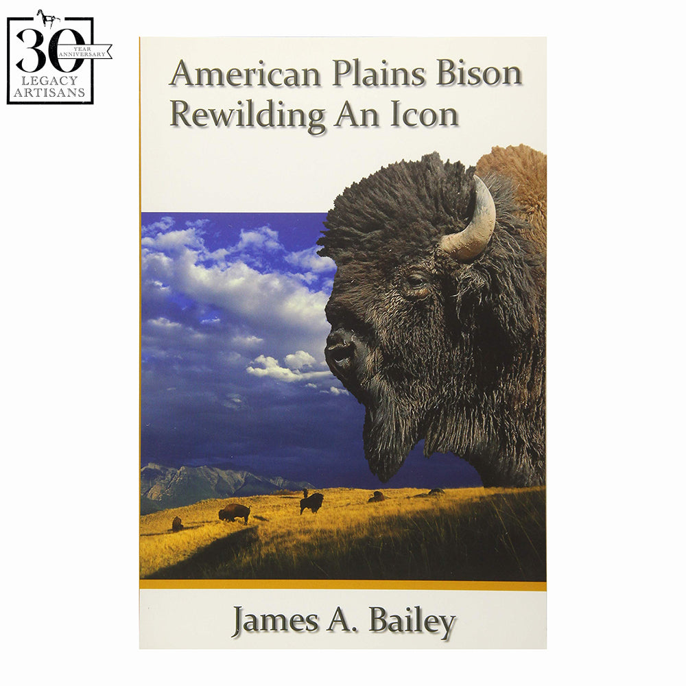 American Plains Bison