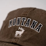 Earth Elk Montana Cap by Ahead