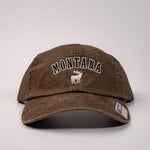 Earth Elk Montana Cap by Ahead