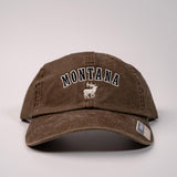 Earth Elk Montana Cap by Ahead