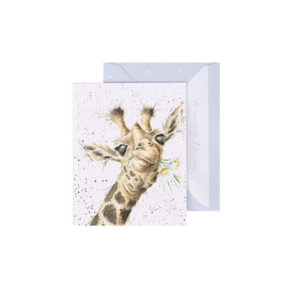 Gift Enclosure Card by Wrendale Designs (29 Designs)