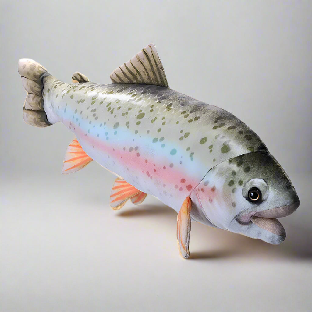 Living Stream Trout