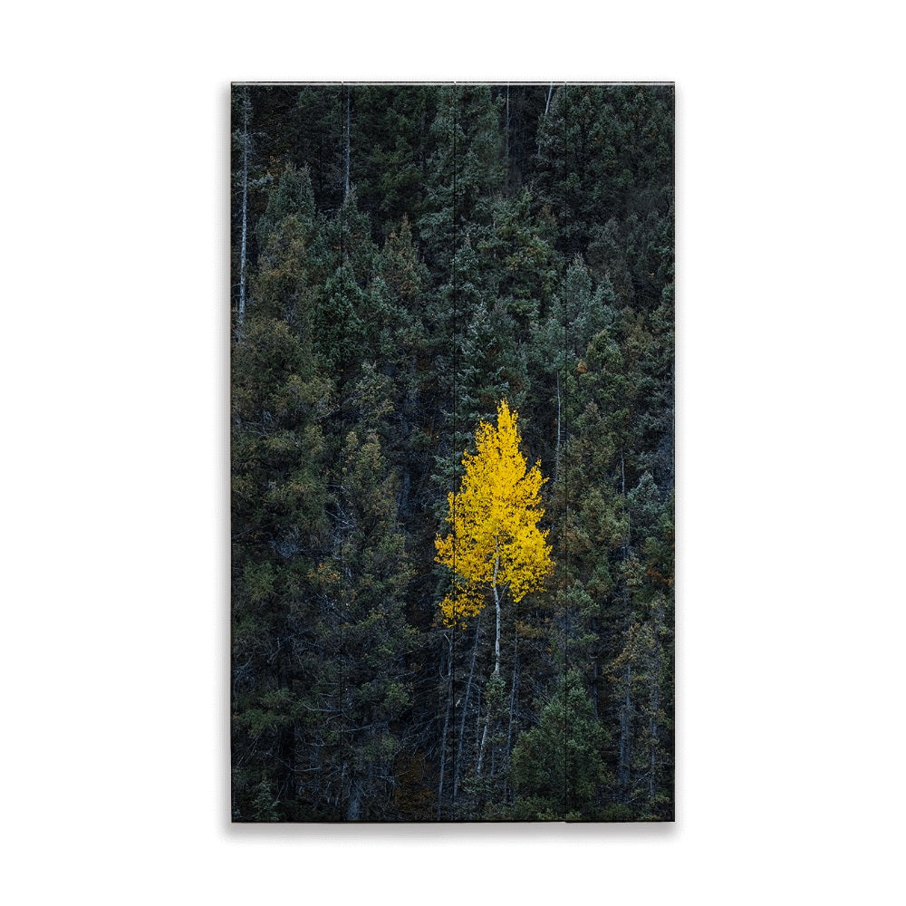 Michael Underwood Photography Gold Aspen Wood Sign by Meissenburg Designs