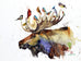 Wildlife Watercolor Greeting Cards by Dean Crouser (10 Variants)