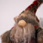 Nibby the Gnome - close up