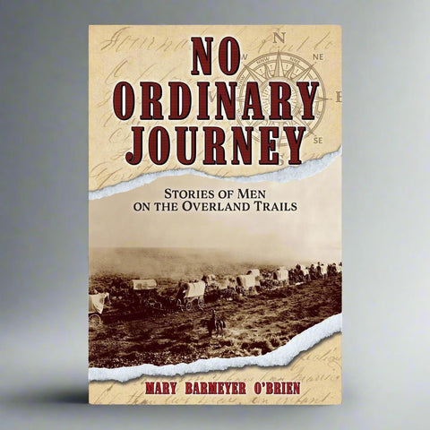 No Ordinary Journey by Mary Barmeyer O'Brien