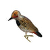 Northern Flicker Glass Christmas Ornament