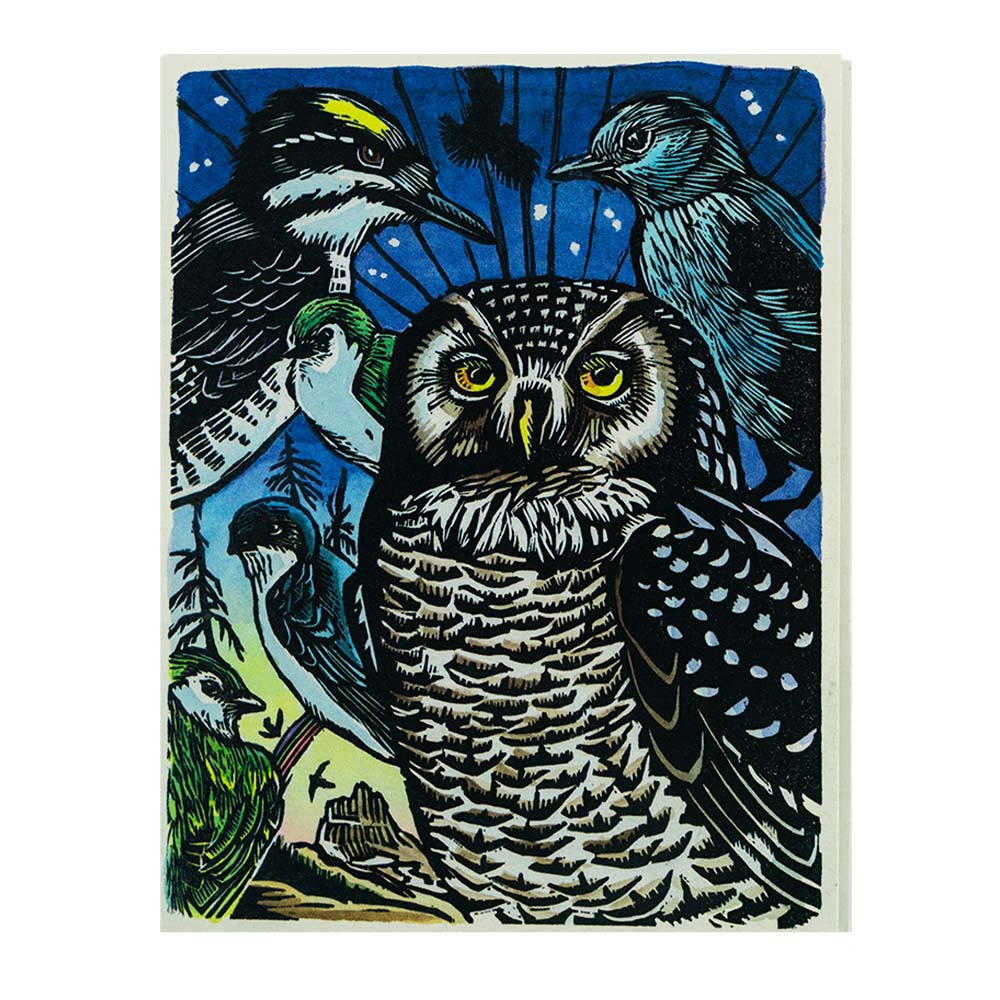 Northern Hawk Owl Greeting Card