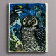 Northern Hawk Owl Greeting Card