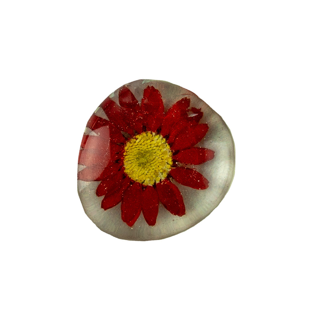 Floral Glass Magnets – Sunnie Lane